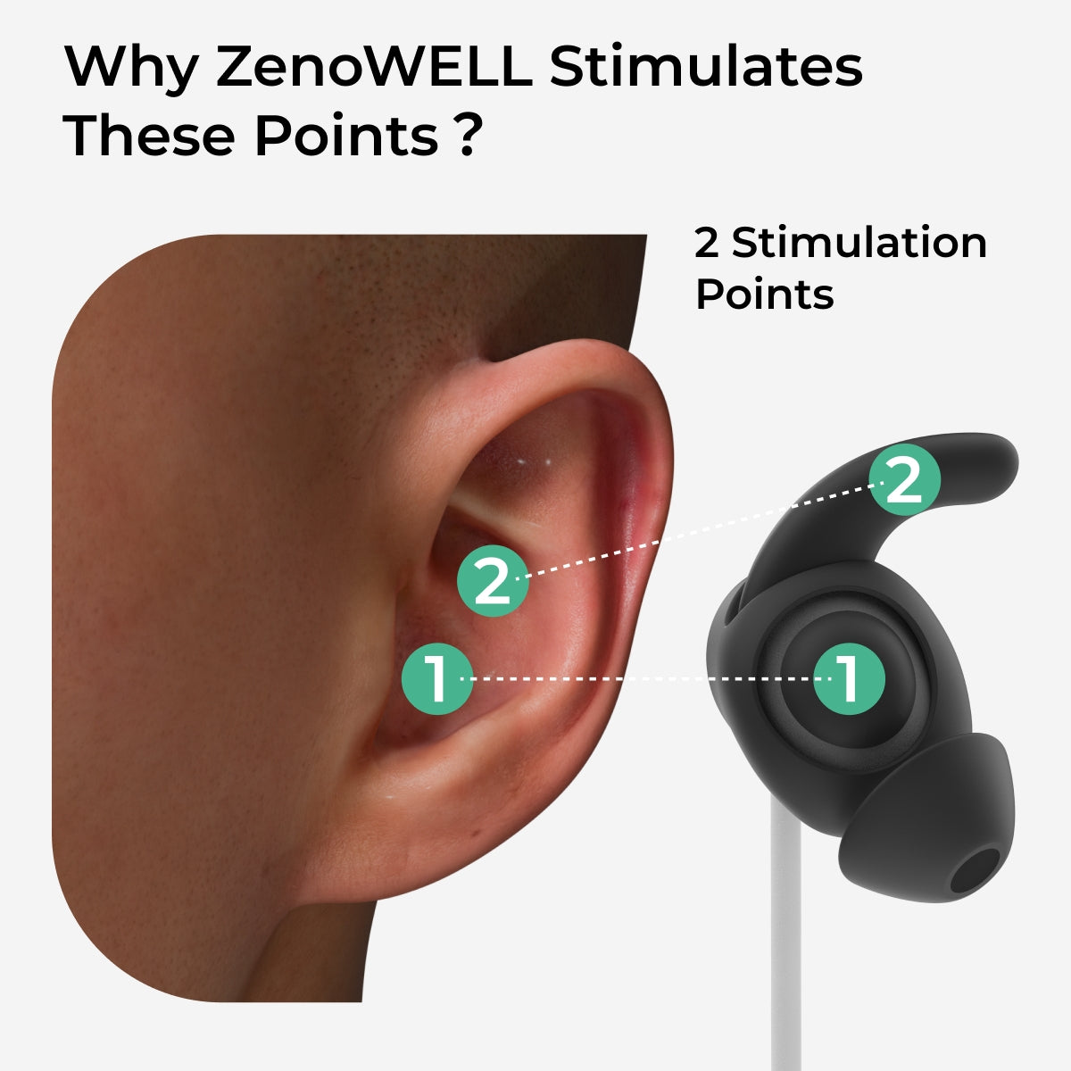 Why ZenoWell taVNS stimulates concha cavum and concha cymba areas?